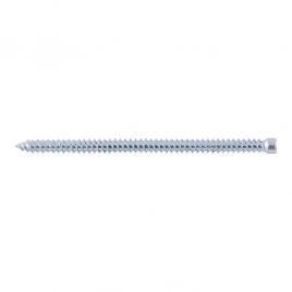 Vite muro testa cilindrica FFSZ 5x62 T15 (50 Pz.)
